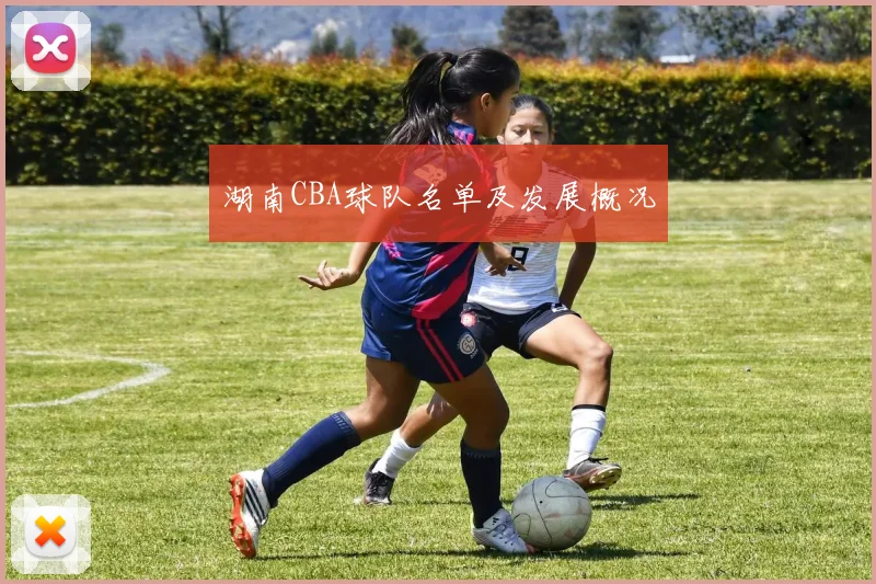 湖南CBA球队名单及发展概况